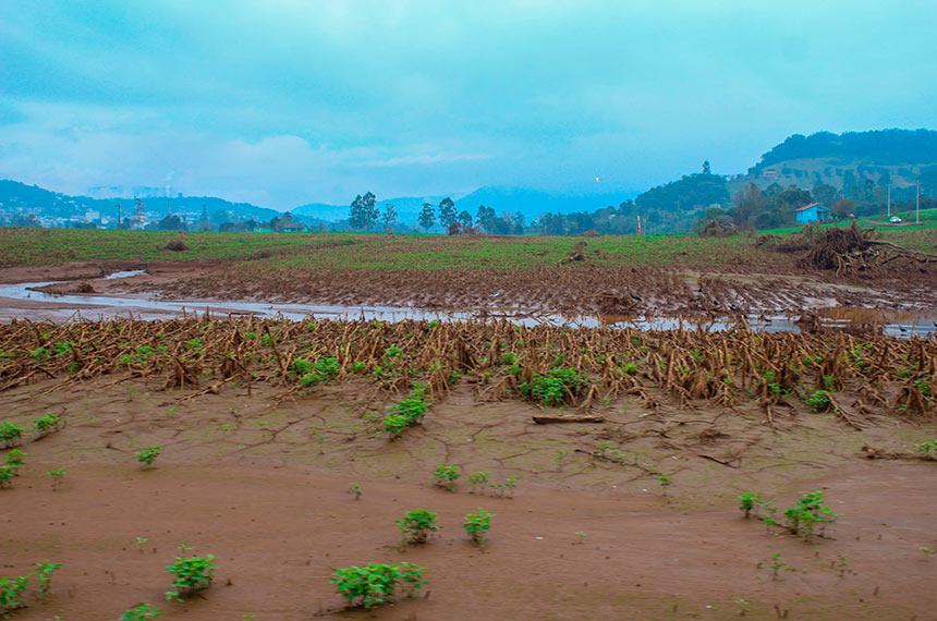 Senado deve analisar Fundo Social do pré-sal para agricultores em calamidades — Senado Notícias