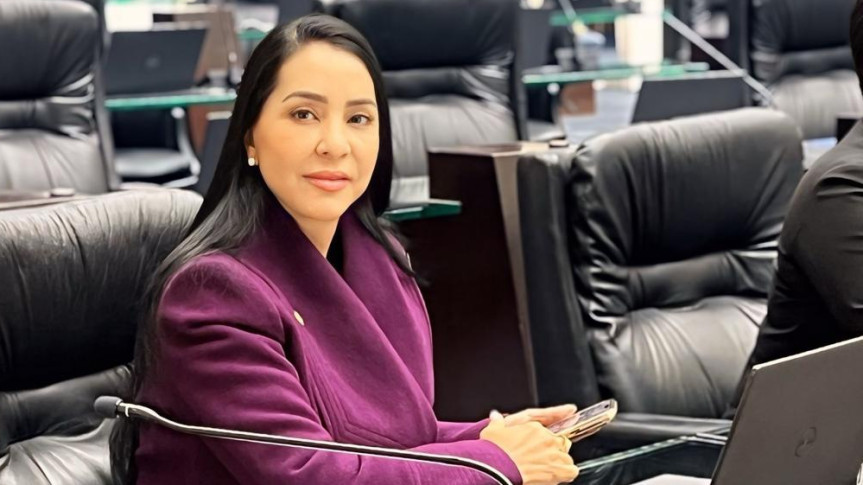 Assembleia Legislativa do Paraná | ALEP | Notícias > Agosto Lilás: dois casos de violência contra a mulher são registrados a cada minuto no Brasil, aponta CNJ