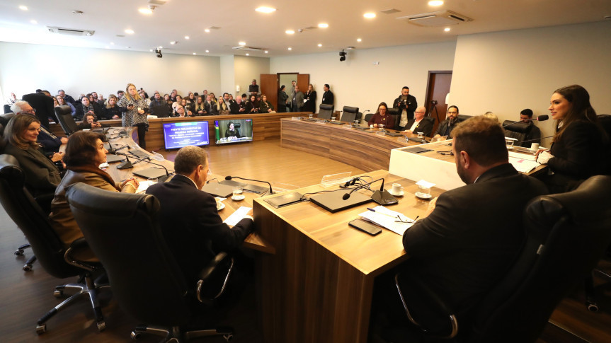 Assembleia Legislativa do Paraná | ALEP | Notícias > Frente Parlamentar recebe diagnósticos e ações para ampliar vagas para crianças de 0 a 3 anos no Paraná