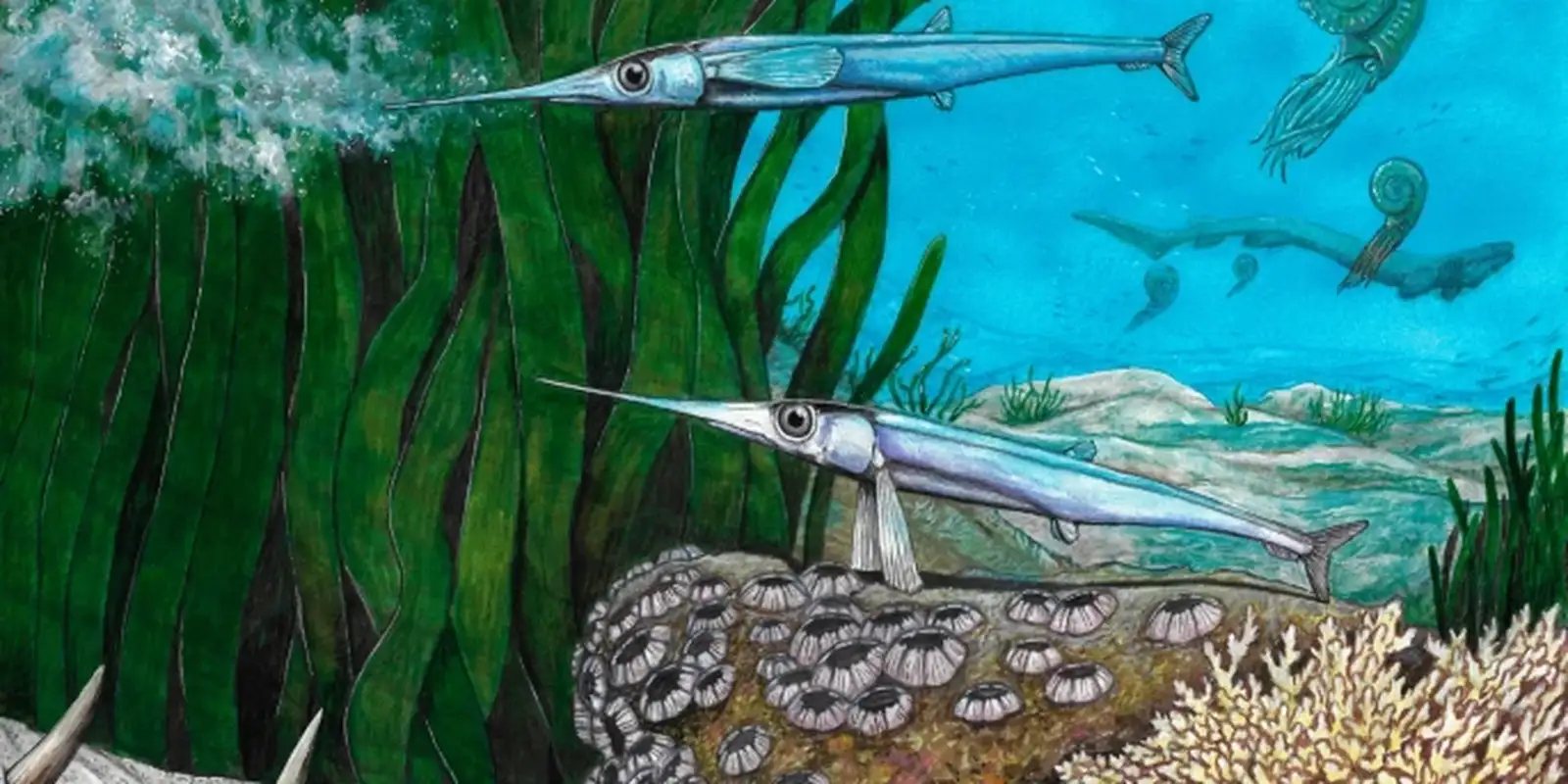 Cientistas brasileiros identificam nova espécie de peixe pré-histórico