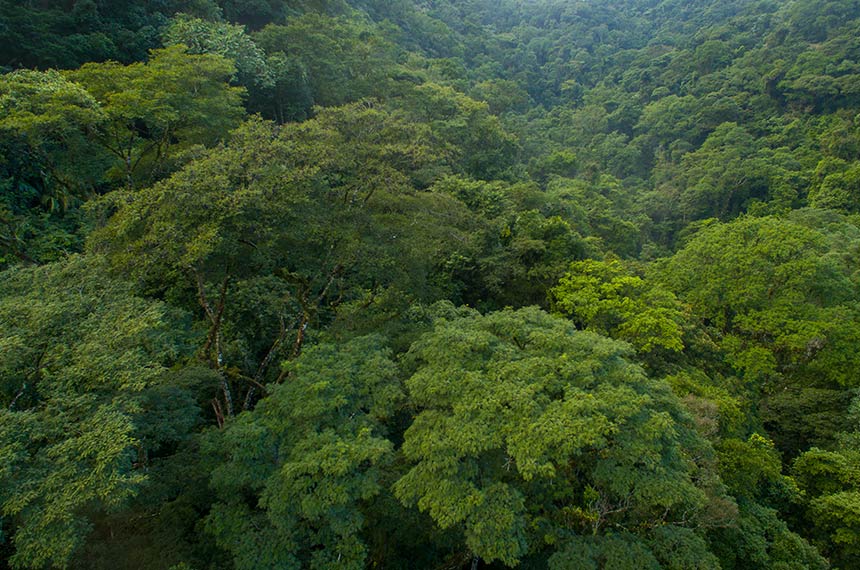 Publicada Lei do Licenciamento Ambiental, com 63 vetos — Senado Notícias