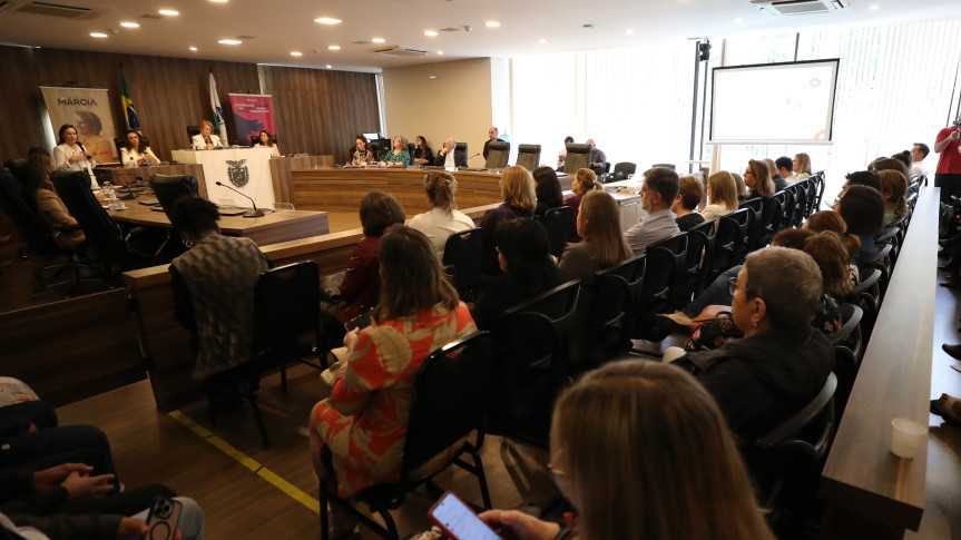 Assembleia Legislativa do Paraná | ALEP | Notícias > Audiência reforça necessidade de capacitação de profissionais na identificação da violência contra crianças e adolescentes