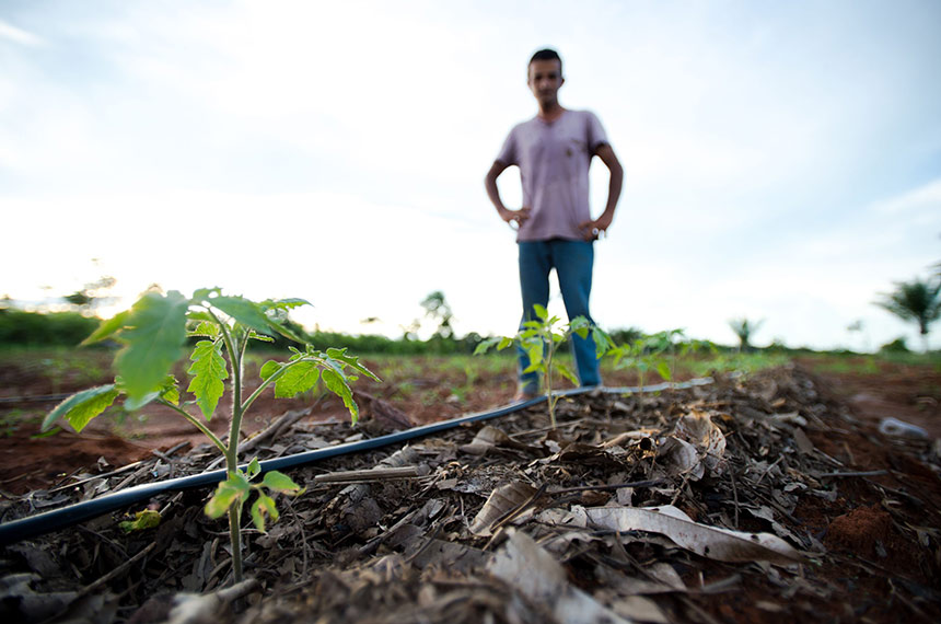 A regularização ambiental de lotes situados em assentamentos da reforma agrária e áreas de até um módulo fiscal poderá ser feita mediante compensação ambiental. É o que propõe o Projeto de Lei do Senado (PLS) 381/2017, do senador Cidinho Santos (PR-MT). O texto tramita na Comissão de Meio Ambiente (CMA), sob a relatoria do senador Acir Gurgacz (PDT-RO). A proposta também foi distribuída à Comissão de Agricultura e Reforma Agrária (CRA), onde será analisada em caráter terminativo.