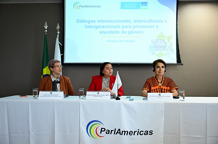 Encontro internacional debate caminhos para equidade de gênero na política — Senado Notícias