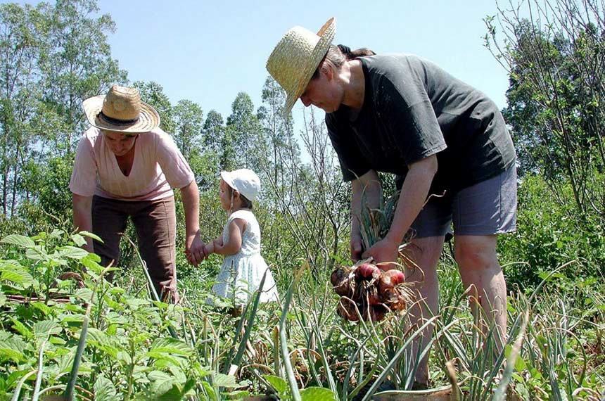 Pronaf e Plano Safra para agricultura familiar estão perto de se tornarem lei — Senado Notícias
