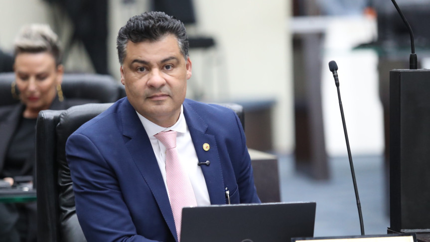 Assembleia Legislativa do Paraná | ALEP | Notícias > Deputado Marcelo Rangel (PSD) propõe lei que permite coleta e comercialização sustentável do pinhão em áreas de Reserva Legal no Paraná