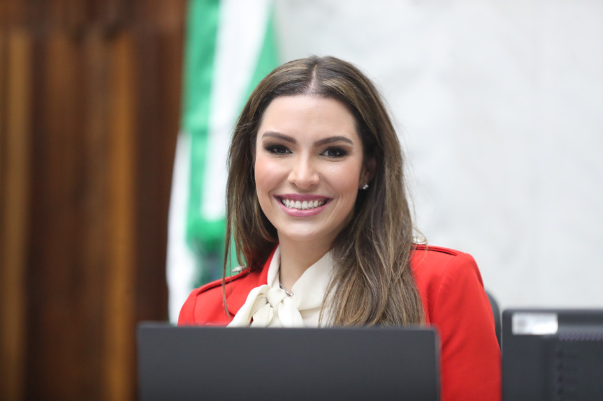 Assembleia Legislativa do Paraná | ALEP | Notícias > Deputada Maria Victoria (PP) defende uso e produção de biocarvão (biochar) no Paraná