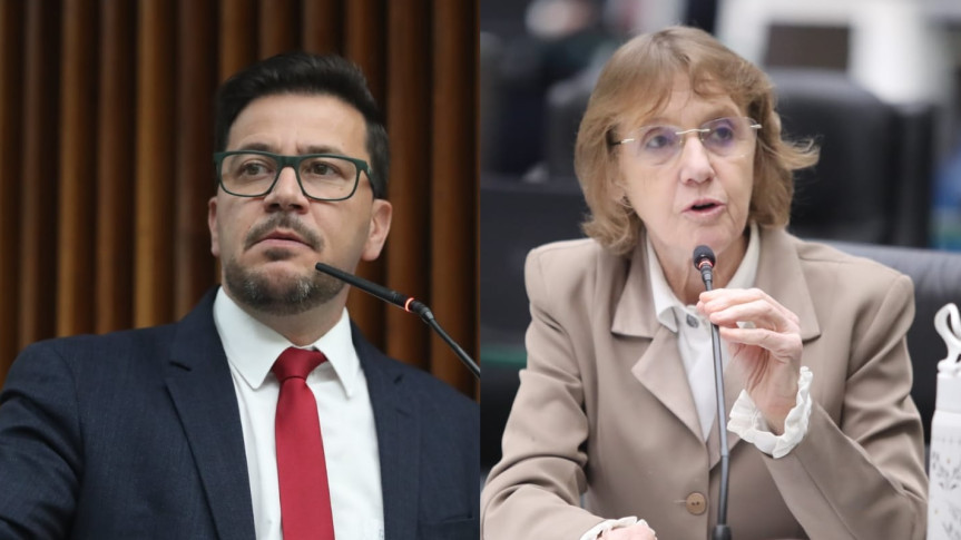 Assembleia Legislativa do Paraná | ALEP | Notícias > Deputado Arilson Chiorato (PT) e deputada Luciana Rafagnin (PT) pedem garantia de repasses às APAEs e abertura de diálogo sobre nova Política Nacional de Educação Especial