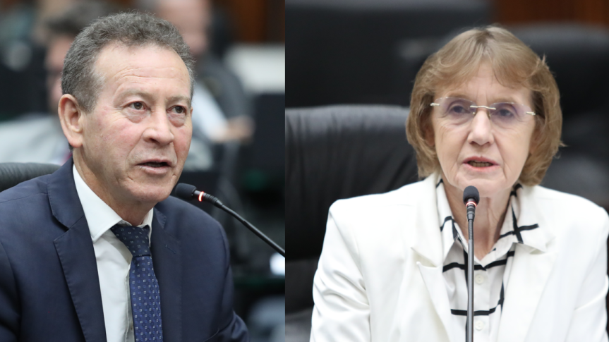 Assembleia Legislativa do Paraná | ALEP | Notícias > Em requerimento encaminhado à SEED, parlamentares do Bloco PT-PDT solicitam a suspensão do processo de fechamento de Escolas do Campo
