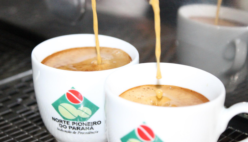 Concurso de qualidade inicia a programação da Ficafé 2025, em Jacarezinho | ASN Paraná
