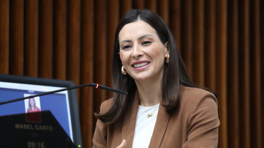 Assembleia Legislativa do Paraná | ALEP | Notícias > Deputada Mabel Canto (PP) destaca pioneirismo da Assembleia ao conquistar selo nacional de enfrentamento à violência contra mulheres