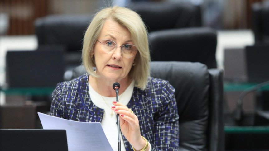 Assembleia Legislativa do Paraná | ALEP | Notícias > Deputada Secretária Márcia (PSD) reforça importância de plano para saúde mental de atingidos por tragédia em Rio Bonito do Iguaçu