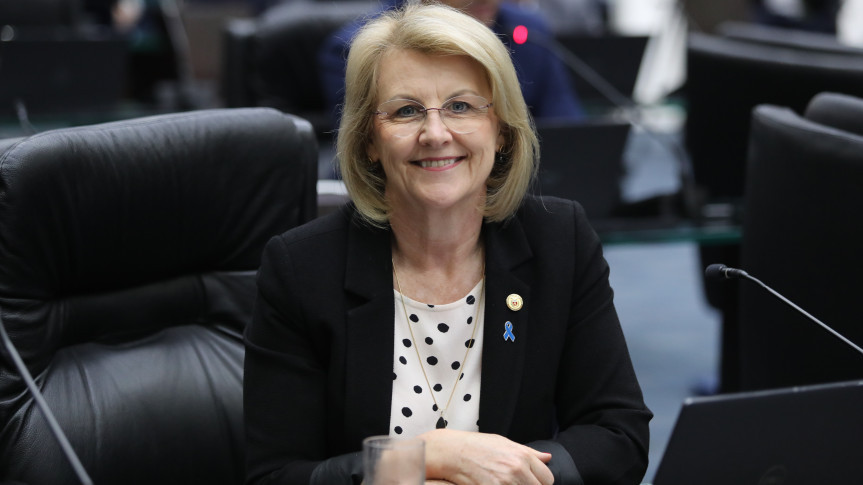 Assembleia Legislativa do Paraná | ALEP | Notícias > Proposta pela deputada Secretária Márcia (PSD), sessão solene homenageia fisioterapeutas e terapeutas ocupacionais