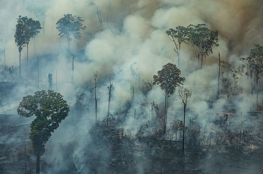 Combate à desinformação na agenda climática e o papel do Senado na COP 30 — Senado Notícias
