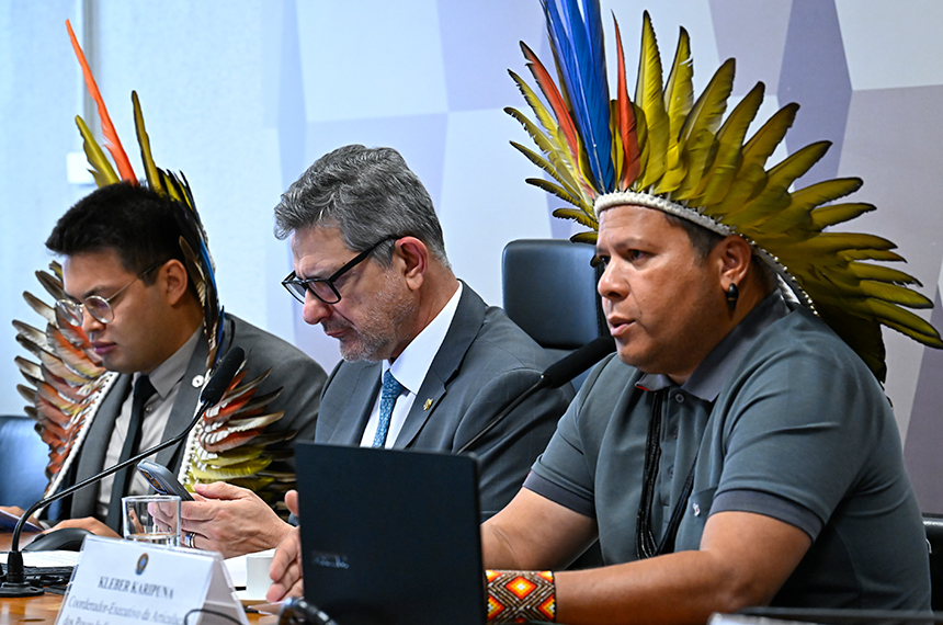 PEC que amplia uso econômico de terras indígenas divide debatedores na CCJ — Senado Notícias
