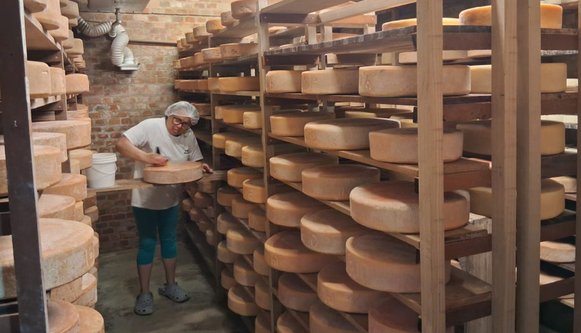Pequenos produtores de queijo das regiões Oeste e Cantu ampliam conhecimento em São Paulo | ASN Paraná