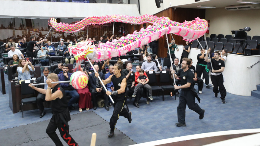 Assembleia Legislativa do Paraná | ALEP | Notícias > Sessão solene homenageia atletas e reforça a importância do kung fu no Paraná