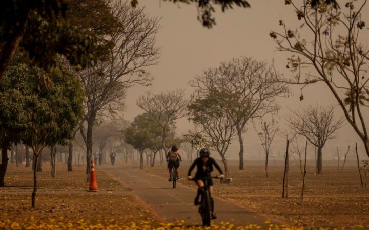 15 estados estão na lista de focos de calor e fumaça. Veja orientações para proteger a saúde — Agência Gov