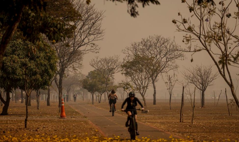 15 estados estão na lista de focos de calor e fumaça. Veja orientações para proteger a saúde — Agência Gov