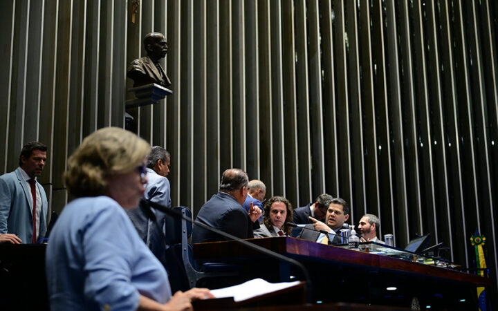Líder do governo no Senado Federal, senadora Teresa Leitão (PT-PE) em discurso à tribuna.